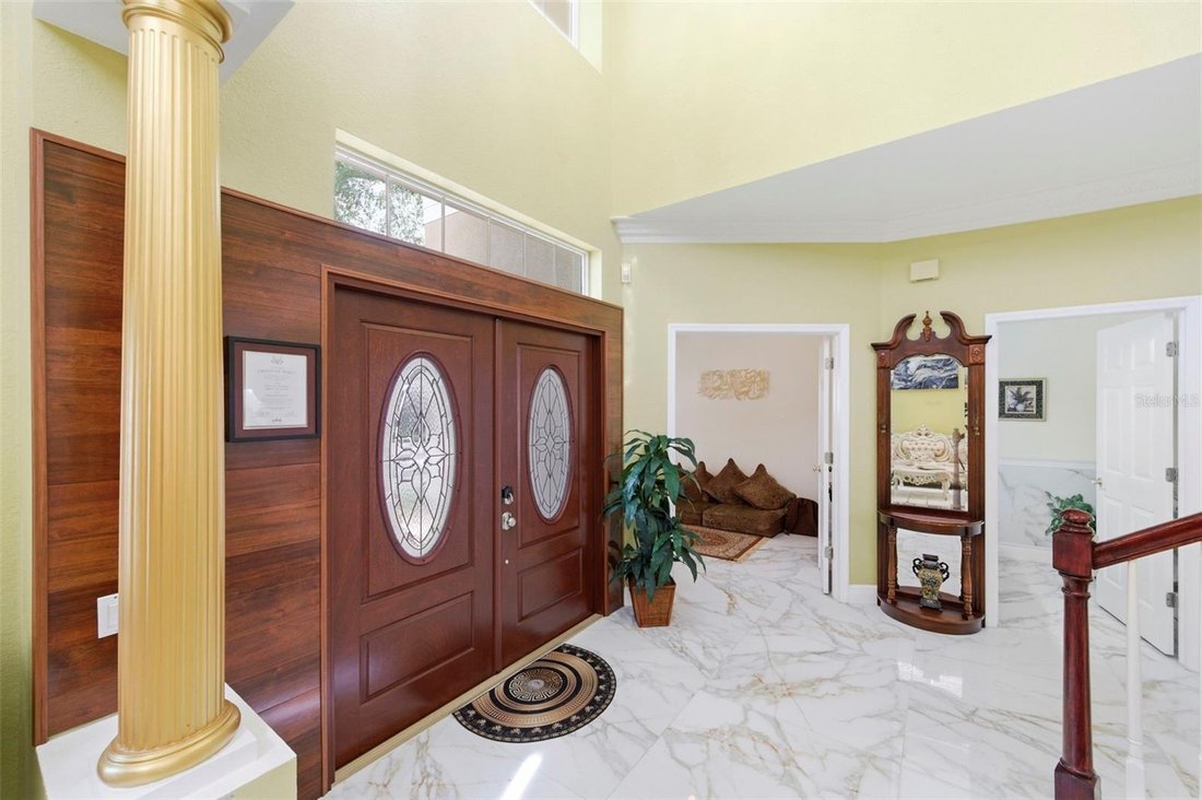 House in Tampa, Florida, United States 5 - 17659876