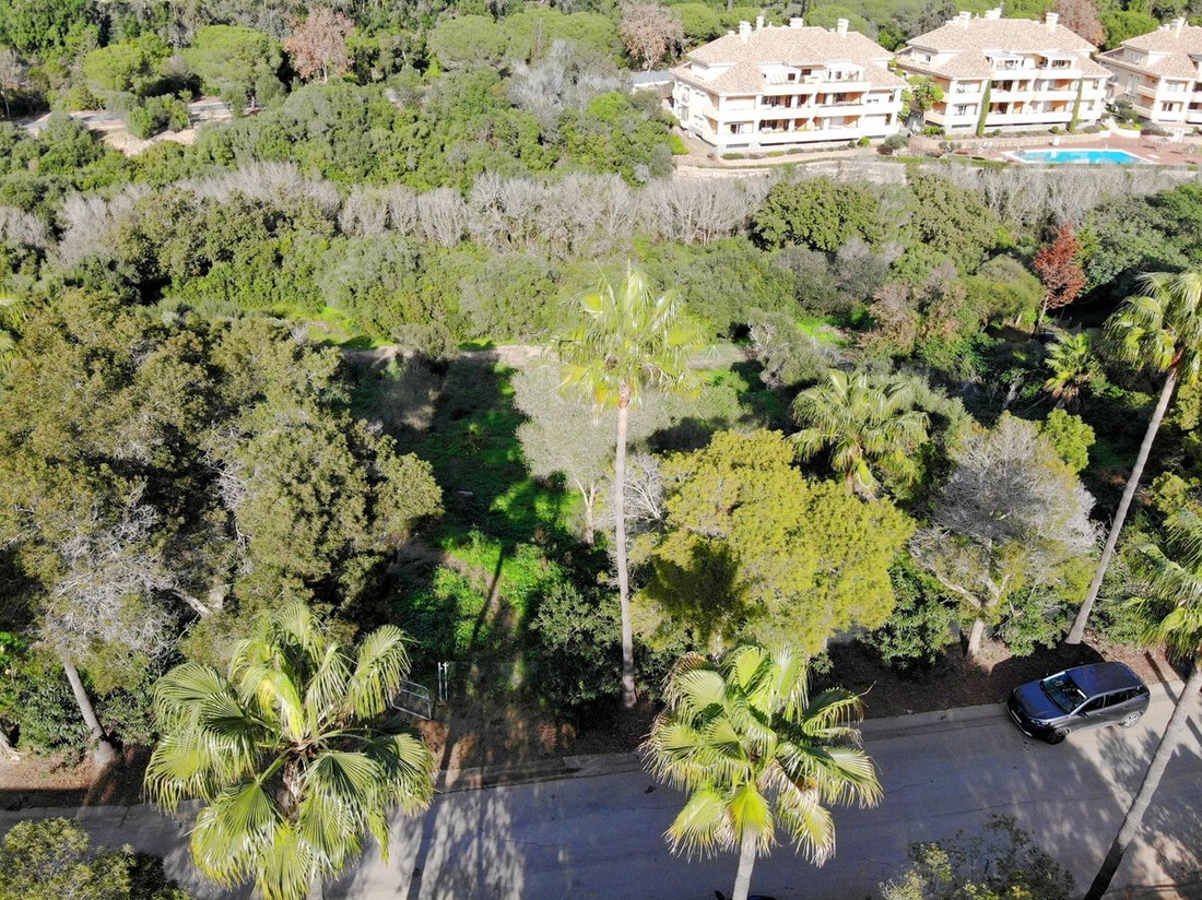 Terreno a Sotogrande, San Roque, Andalusia 5 - 17564445