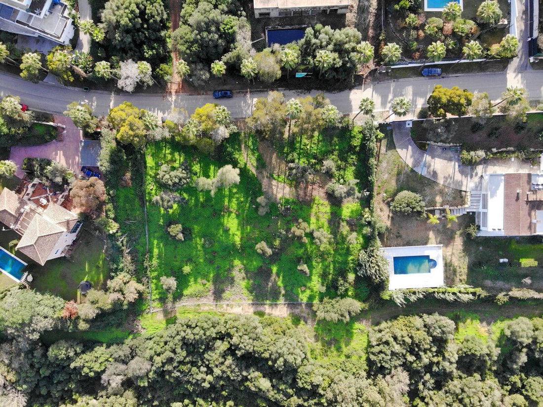Terreno a Sotogrande, San Roque, Andalusia 2 - 17564445