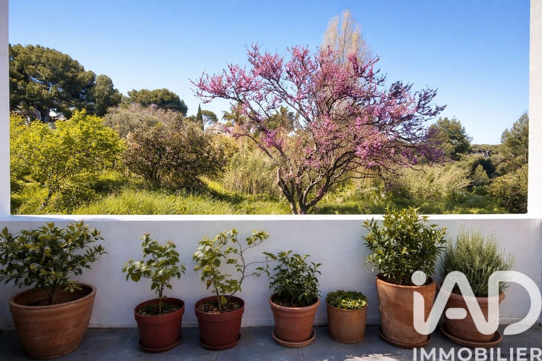 House in La Ciotat, Provence-Alpes-Côte d'Azur, France 2 - 17658332