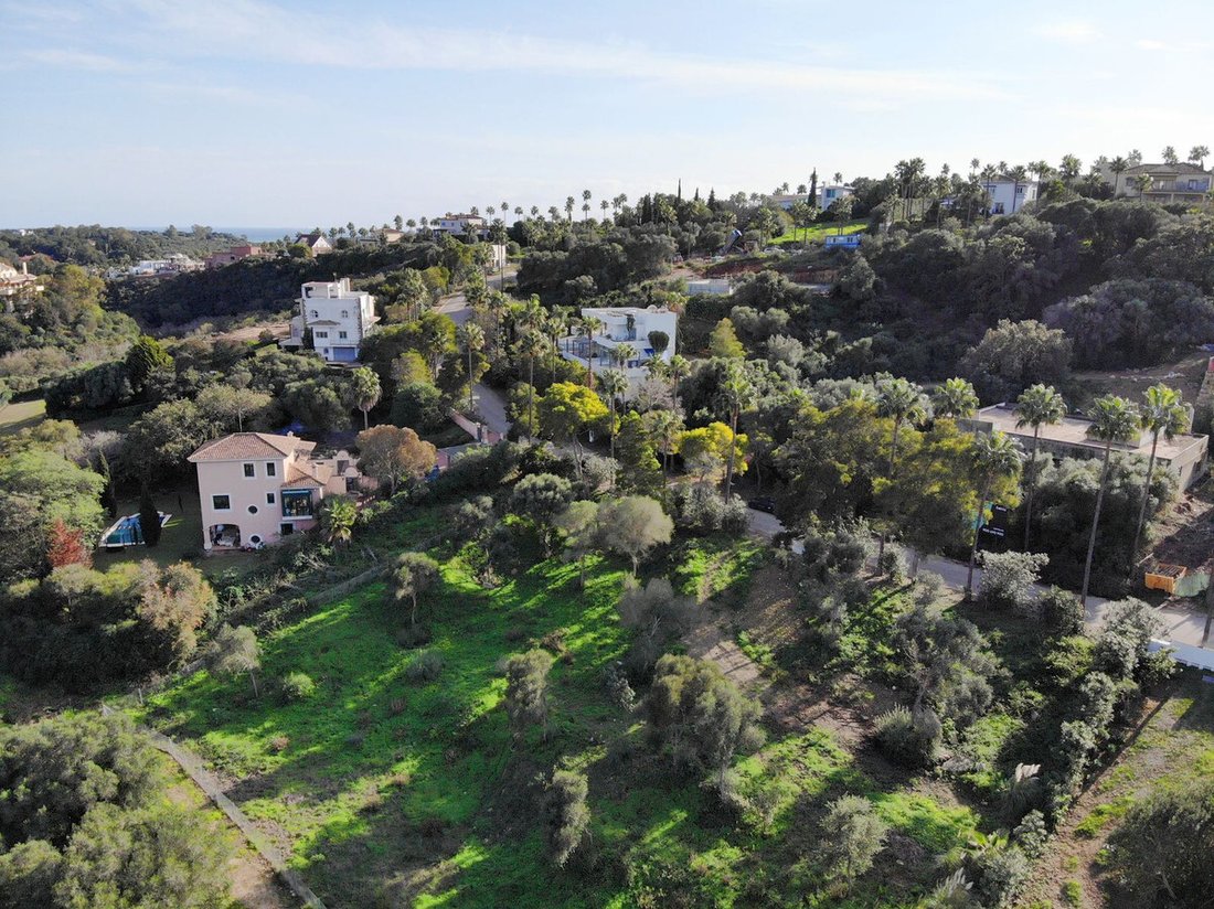Terreno a Sotogrande, San Roque, Andalusia 1 - 17564445
