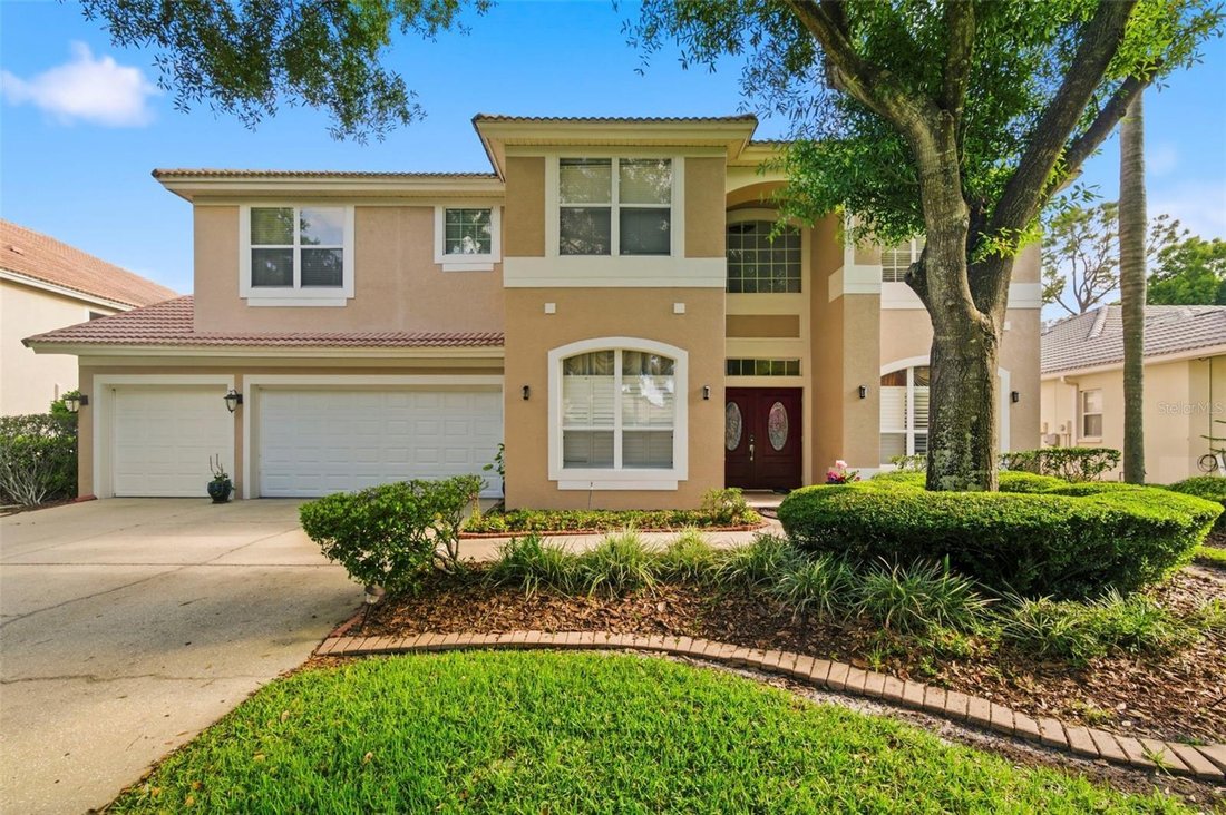 House in Tampa, Florida, United States 2 - 17659876