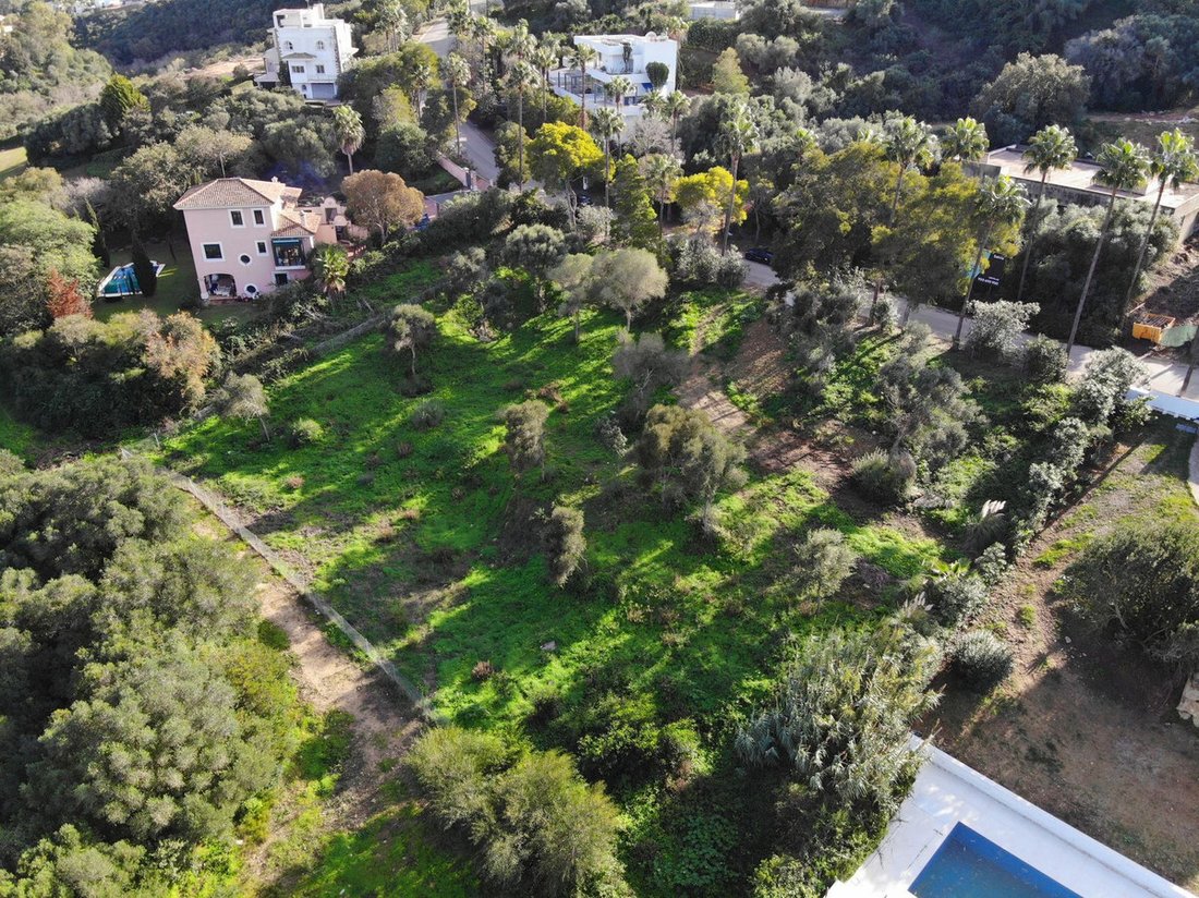 Terreno a Sotogrande, San Roque, Andalusia 4 - 17564445