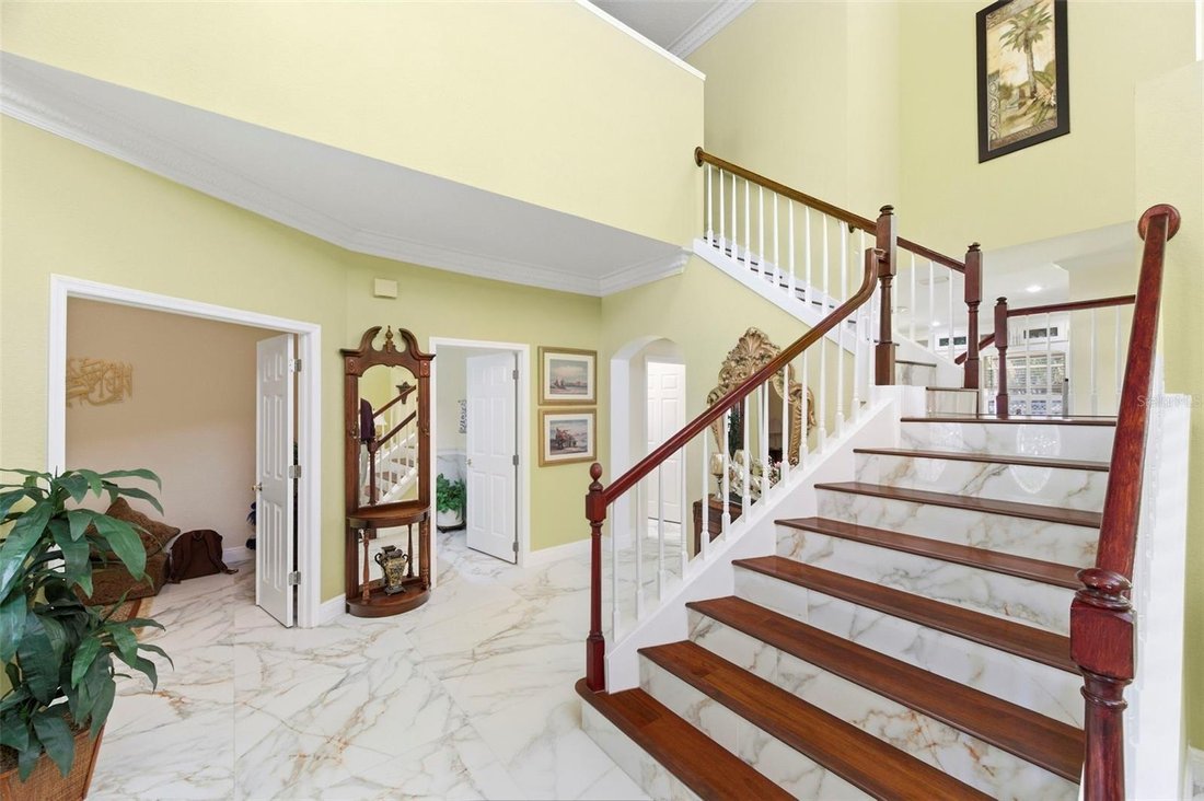 House in Tampa, Florida, United States 4 - 17659876