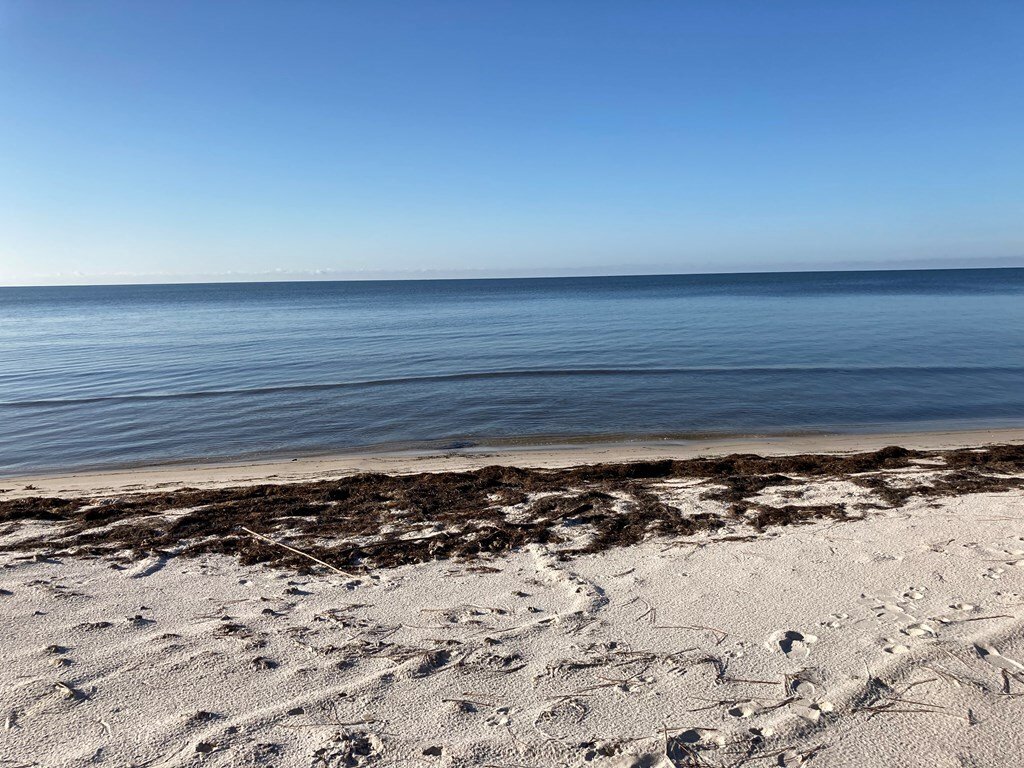 House in Carrabelle, Florida, United States 4 - 17660012