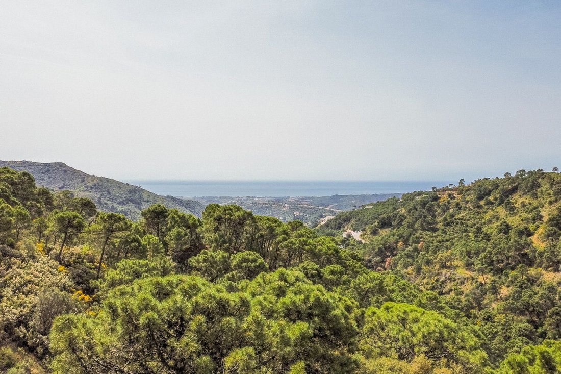 Terreno a Algeciras, Andalusia, Spagna 3 - 17559170