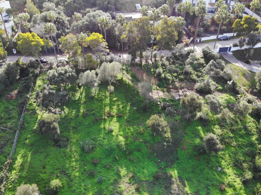 Terreno a Sotogrande, San Roque, Andalusia 3 - 17564445