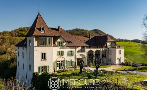 Castle in Murinais, Auvergne-Rhône-Alpes, France 1