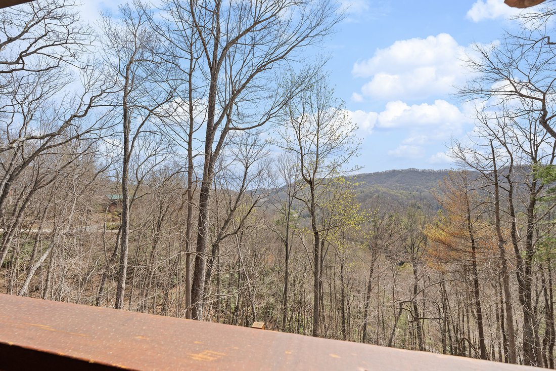 House in Banner Elk, North Carolina, United States 3 - 17661598