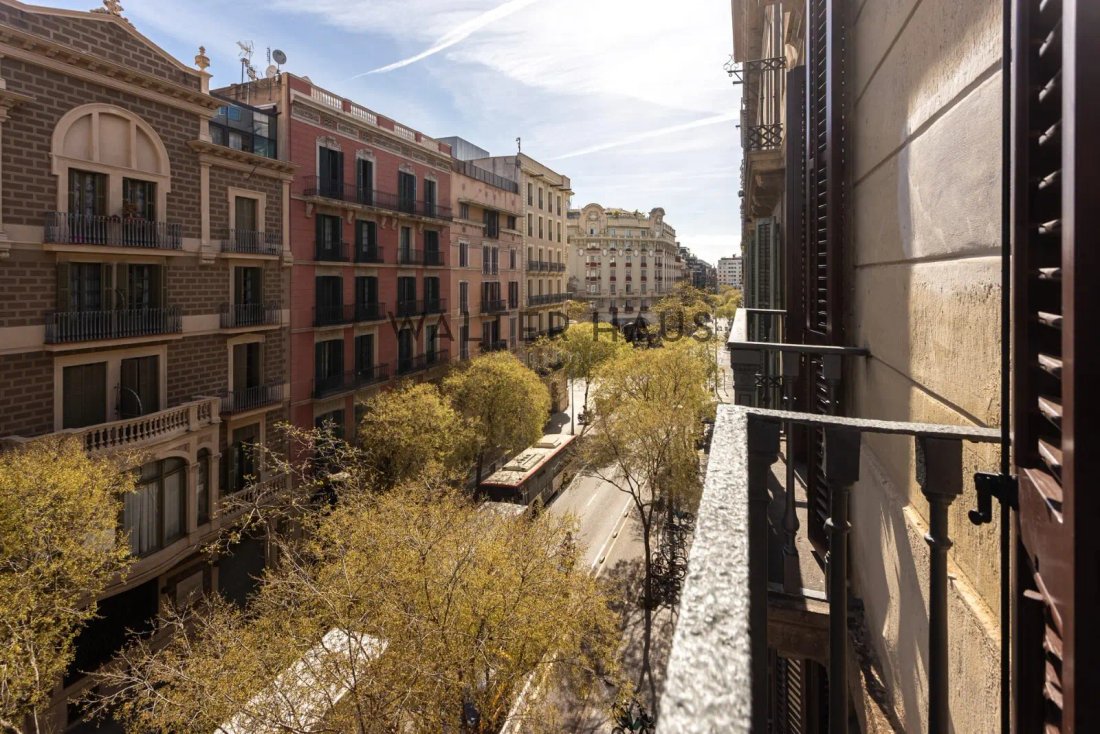 Apartment in Eixample, Barcelona, Spain 3 - 16785061