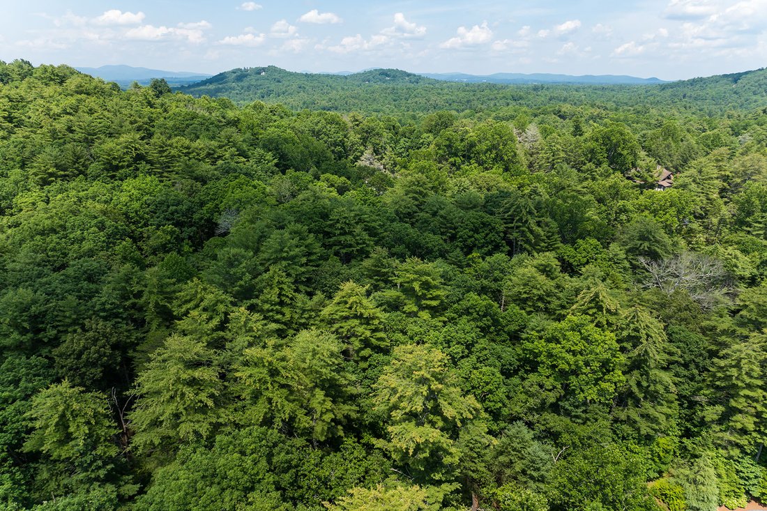 House in Laurel Park, North Carolina, United States 3 - 17661609