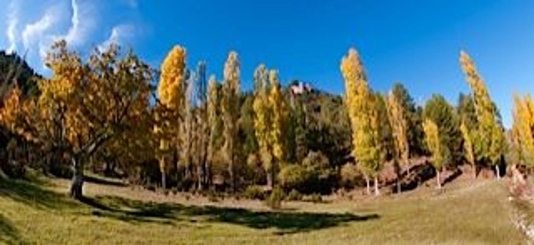Country House in Puebla de Don Fadrique, Andalusia, Spain 4 - 12834926