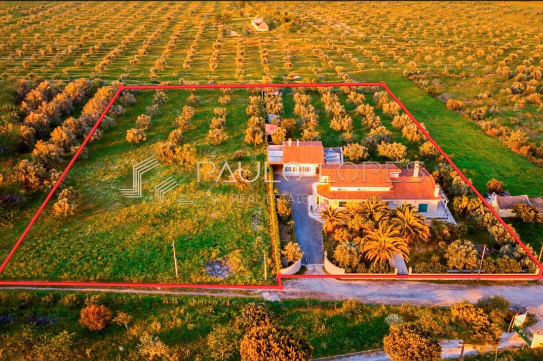 Cartaxo e Vale da Pinta, Santarem District, Portugal 2 - 17662033