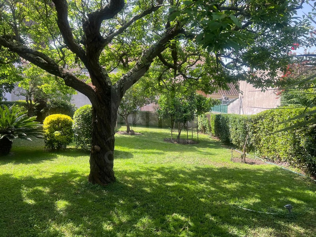 House in Amora, Setubal, Portugal 4 - 17666869