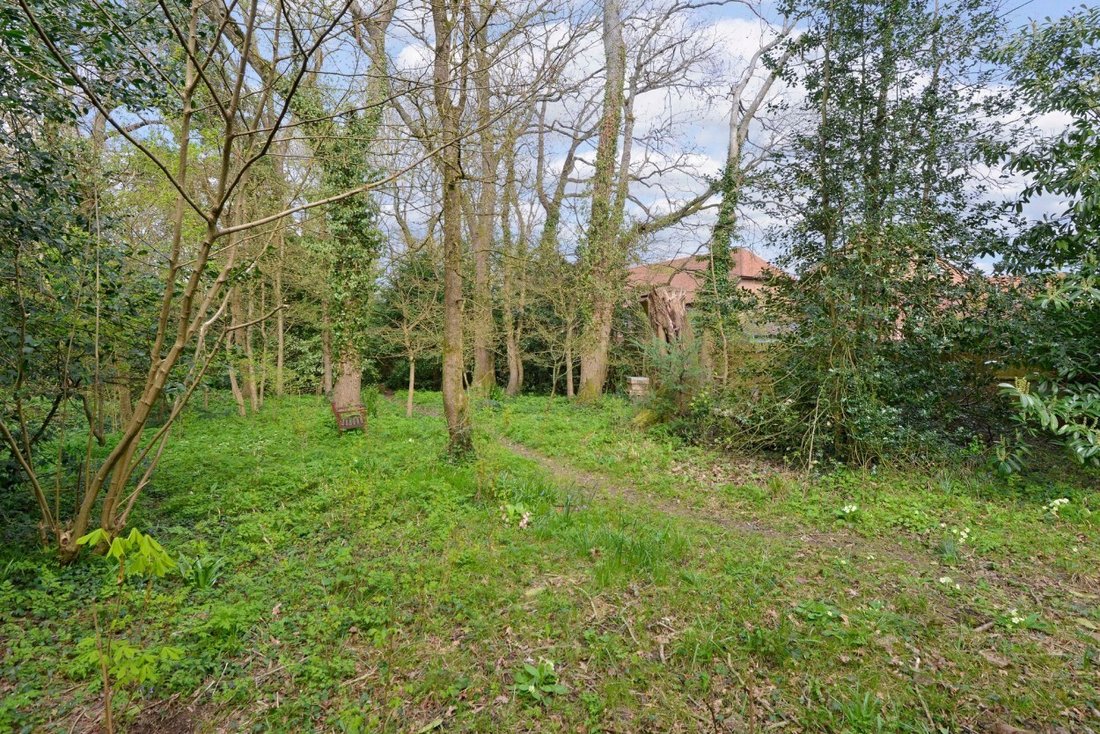 House in Surrey, England 4 - 17662562
