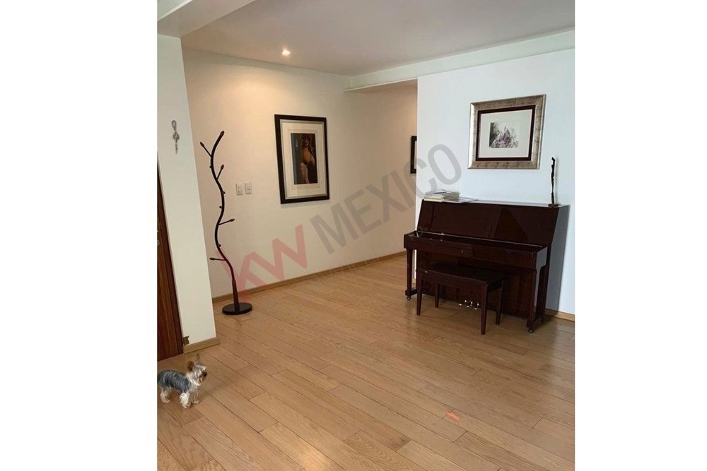 Apartment in Mexico City, Mexico 5 - 17666592