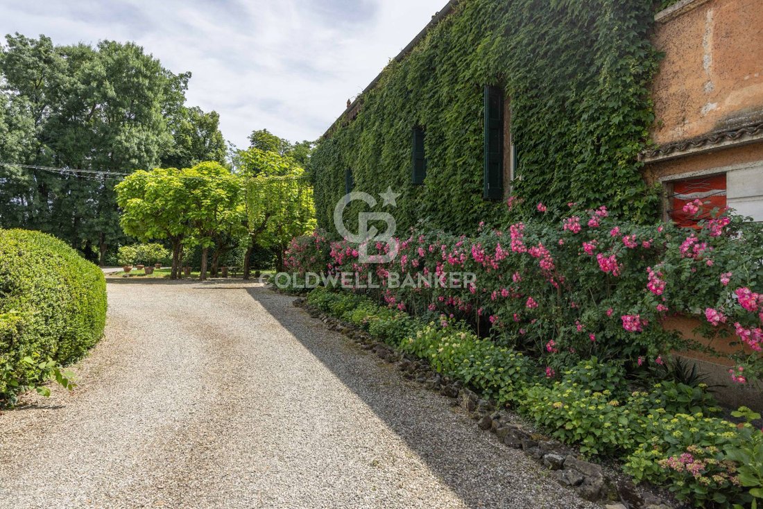 Formigine, Emilia-Romagna, Italy 4 - 17667535