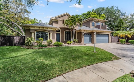 House in Palm Harbor, Florida, United States 1