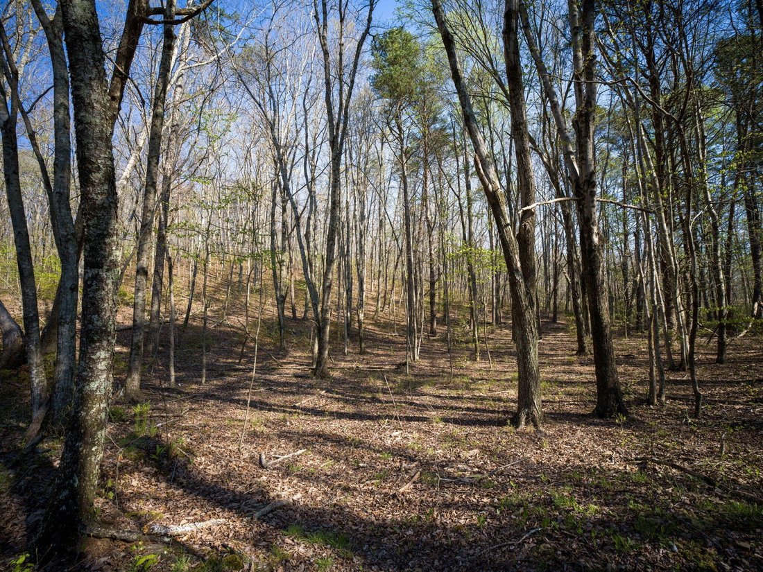 Land in Chattanooga, Tennessee, United States 5 - 17666556