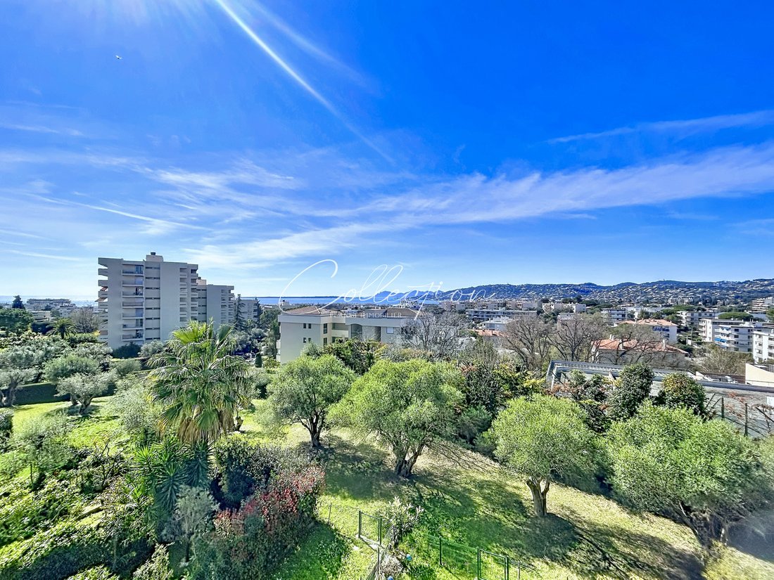 Apartment in Juan les Pins-Gallice, Antibes, France 1 - 17666733