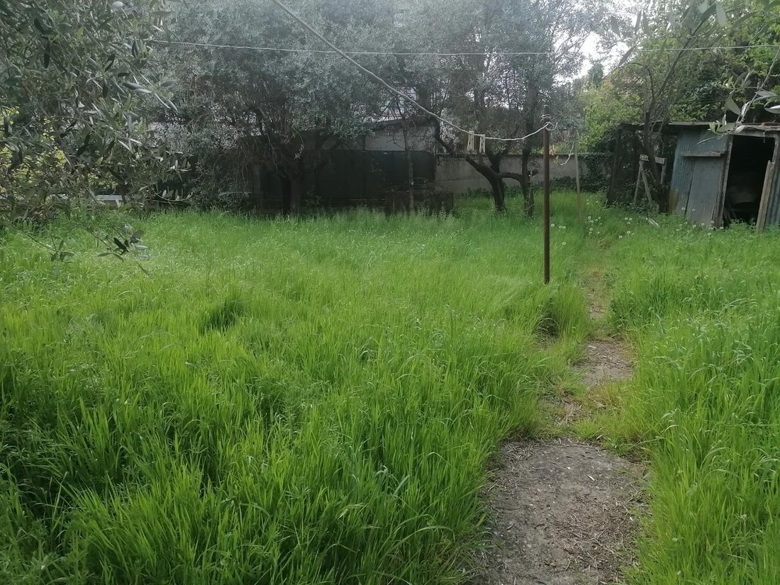 Villa in Poggio a Caiano, Tuscany, Italy 4 - 17665679