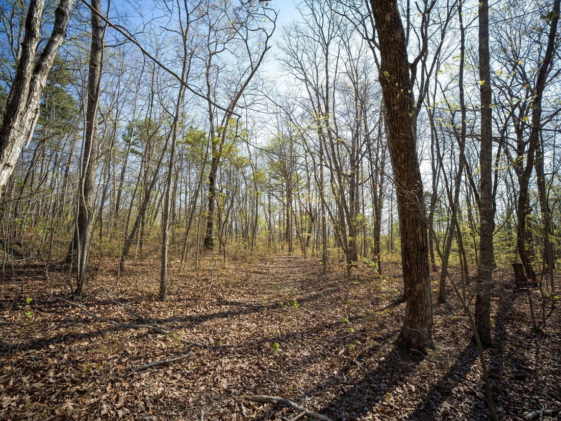 Land in Chattanooga, Tennessee, United States 4 - 17666556
