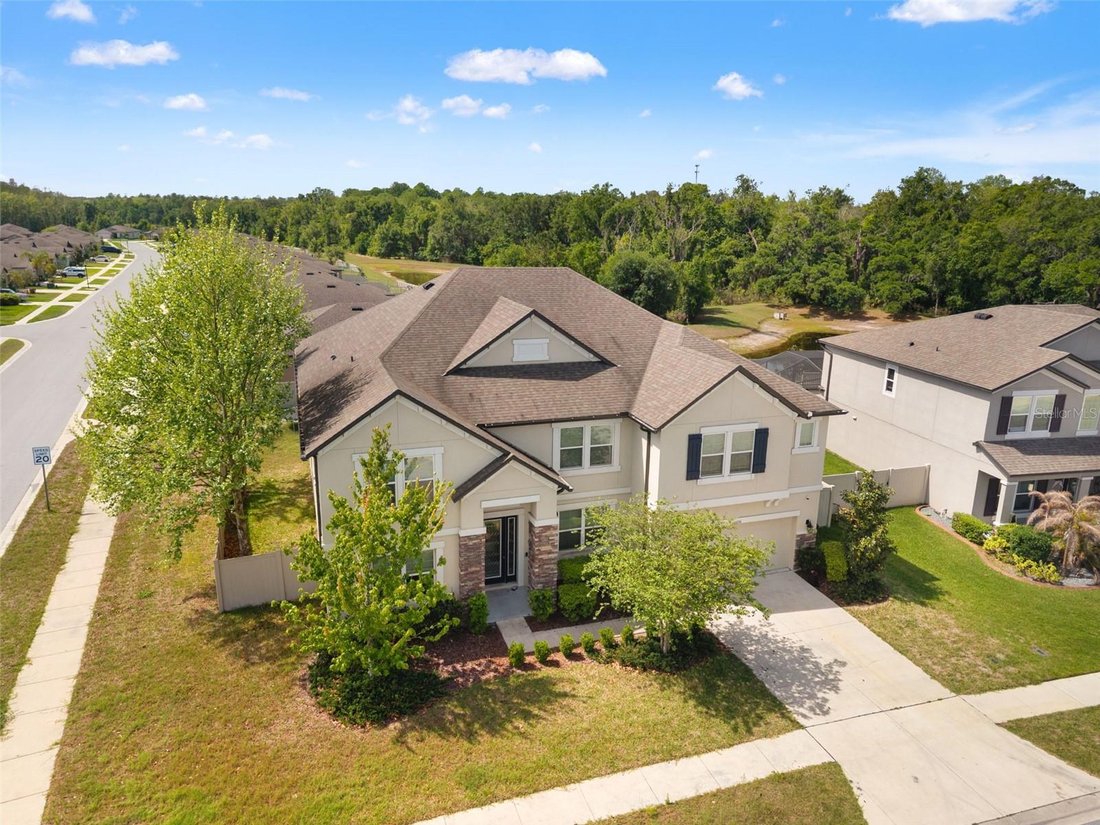 House in Spring Hill, Florida, United States 1 - 17662465
