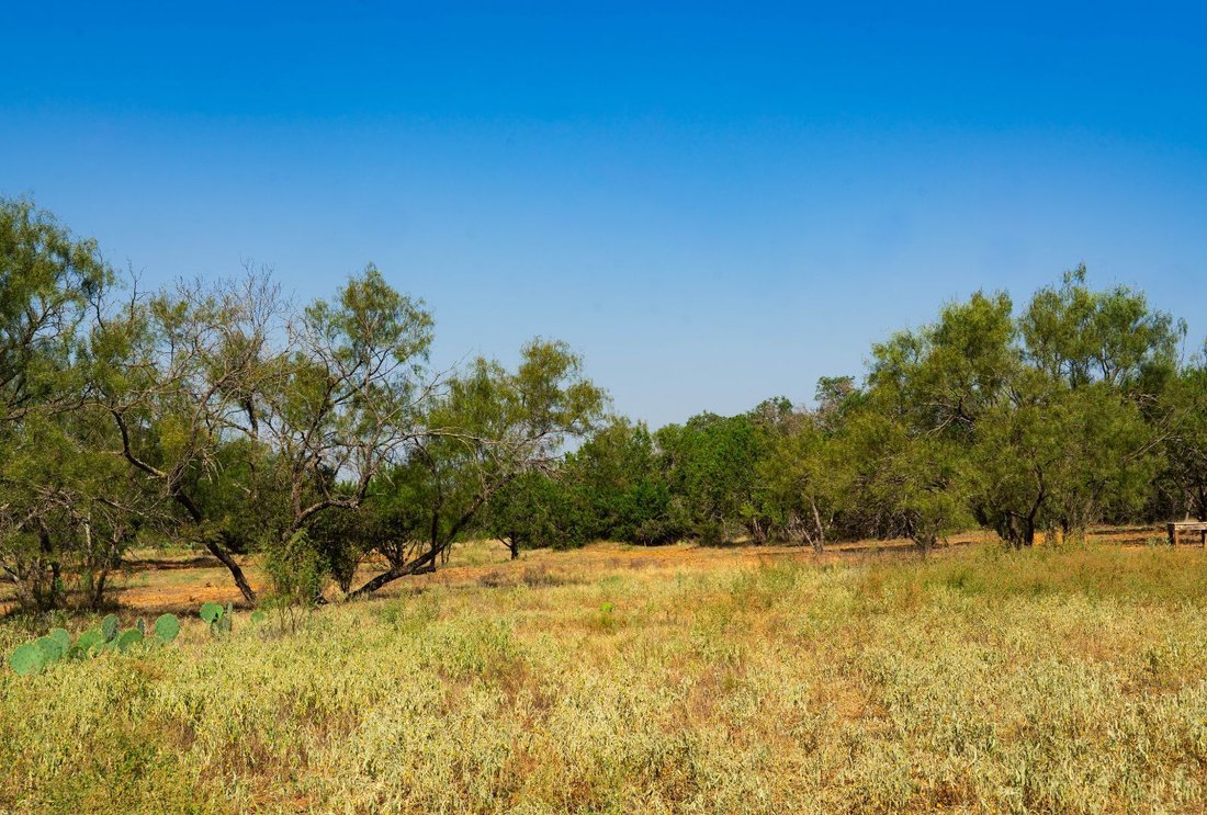 Farm Ranch in Spicewood, Texas, United States 5 - 17666548