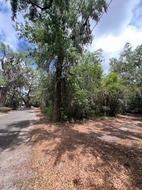 Land in Gainesville, Florida, United States 1 - 17664655