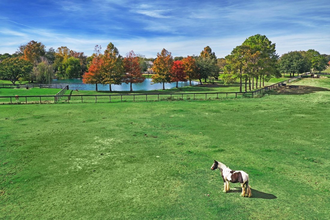 House in Katy, Texas, United States 5 - 17662482