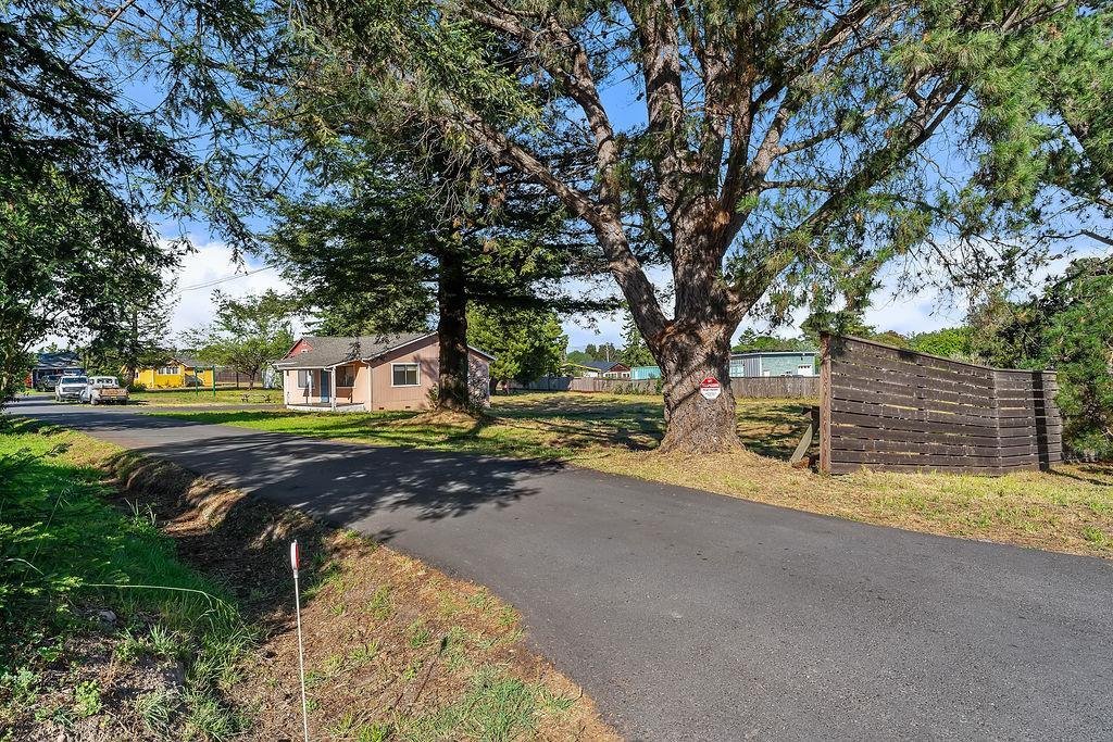 Petaluma, California, United States 1 - 17665838