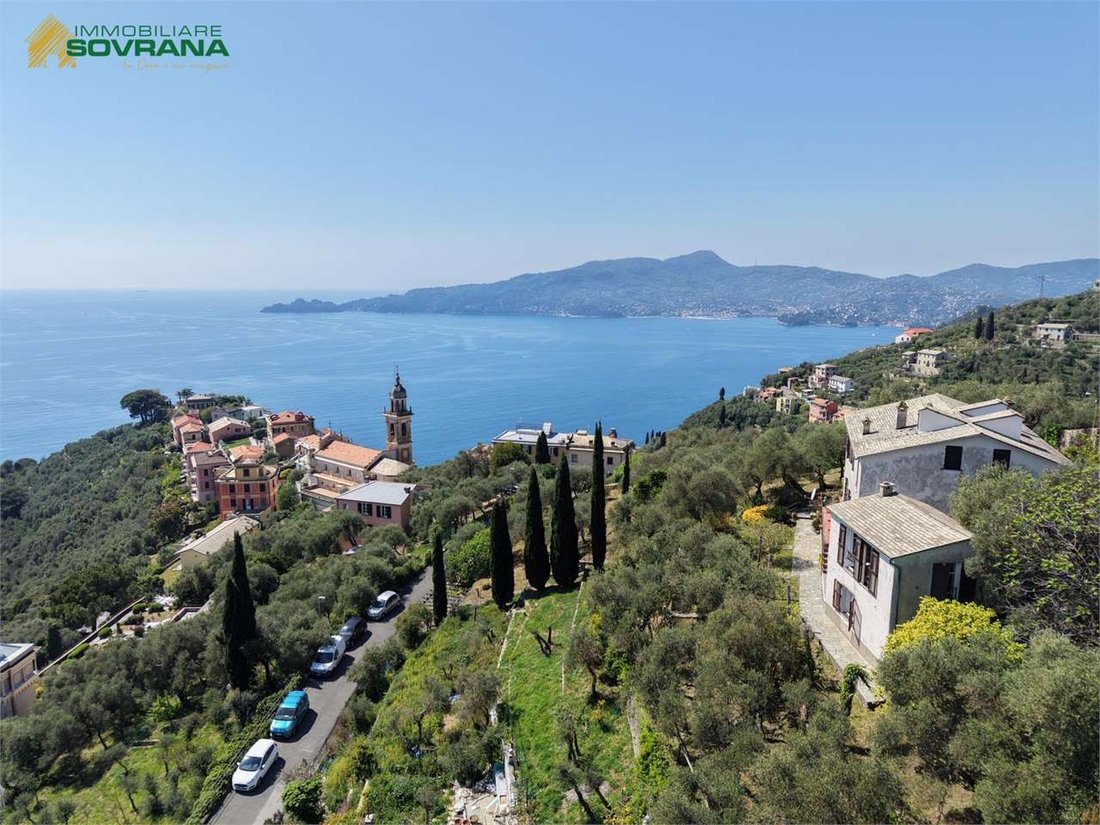 Villa in Zoagli, Liguria, Italy 5 - 17665416