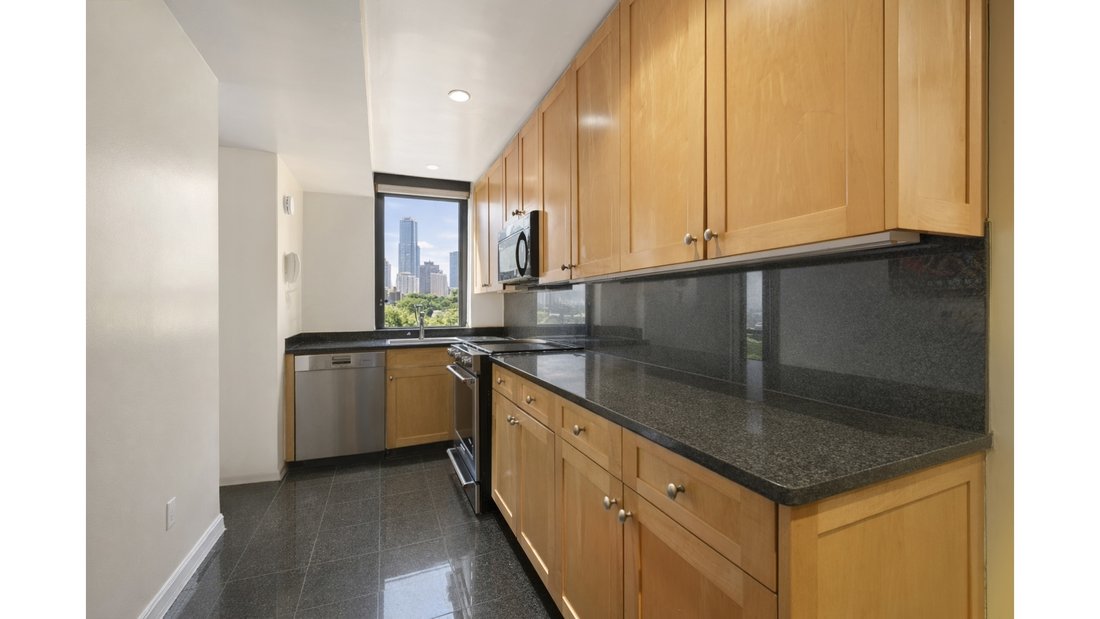 Condo in New York, New York, United States 4 - 17367339