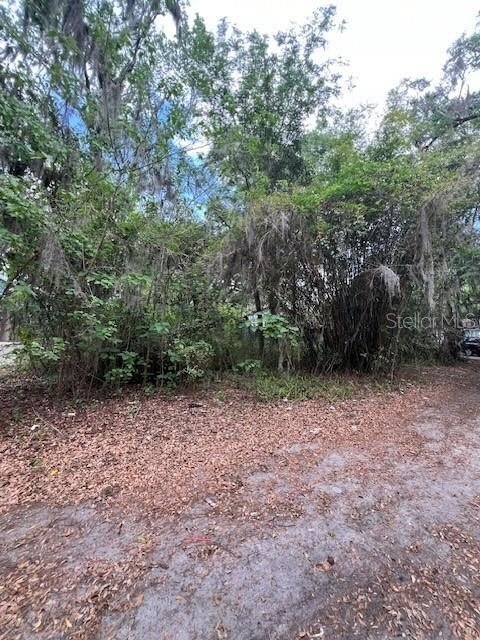 Land in Gainesville, Florida, United States 2 - 17664655