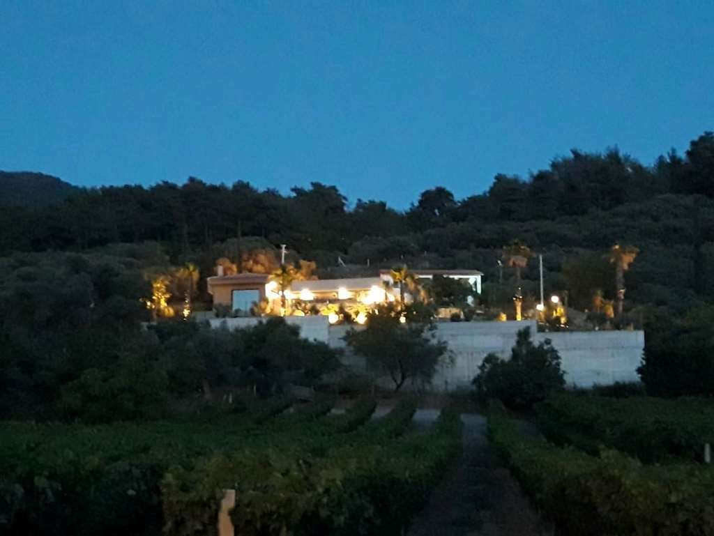Villa in Aydın, Aydın, Turkey 3 - 17663159