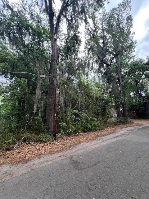 Land in Gainesville, Florida, United States 3 - 17664655