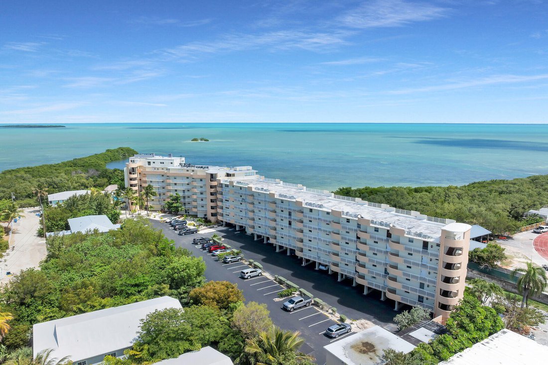 Condo in Tavernier, Florida, United States 4 - 17666667
