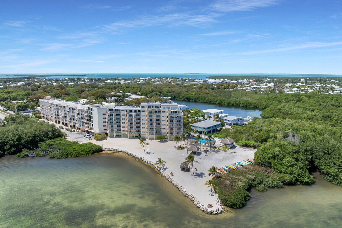 Condo in Tavernier, Florida, United States 2 - 17666667