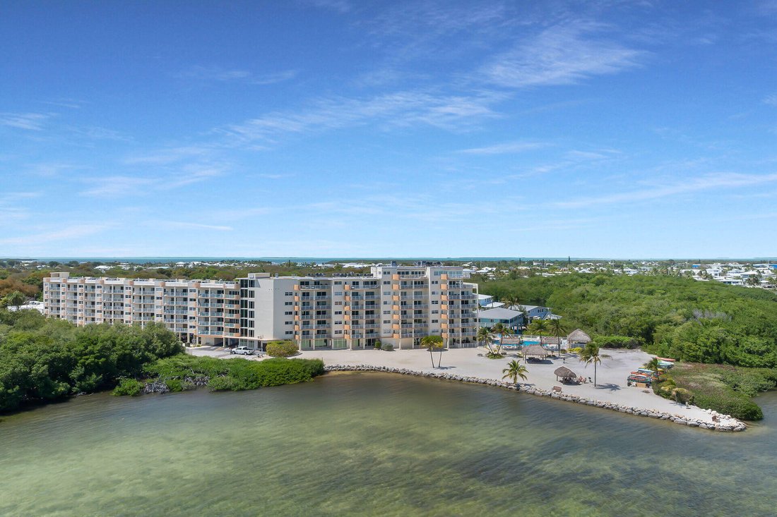 Condo in Tavernier, Florida, United States 3 - 17666667
