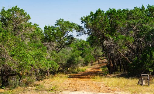 Farm Ranch in Spicewood, Texas, United States 1