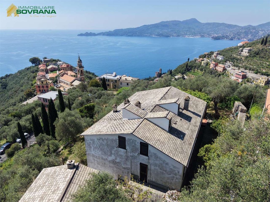 Villa in Zoagli, Liguria, Italy 1 - 17665416