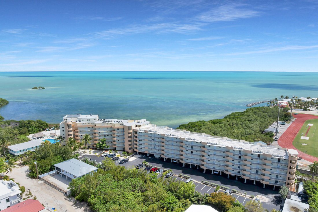 Condo in Tavernier, Florida, United States 5 - 17666667