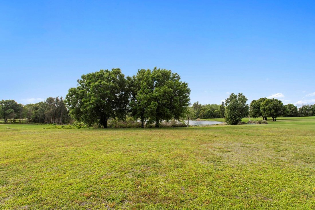 House in Odessa, Florida, United States 3 - 17248658