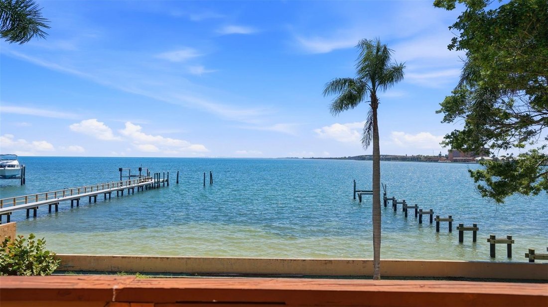 House in St. Petersburg, Florida, United States 1 - 17665536