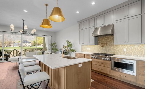 House in American Fork, Utah, United States 1