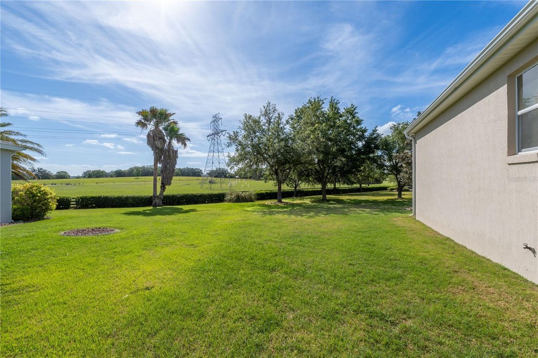 House in The Villages, Florida, United States 3 - 17665520