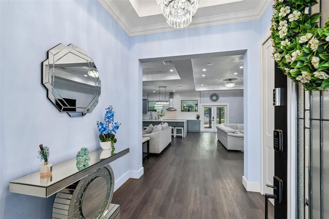 House in Tampa, Florida, United States 5 - 17665548