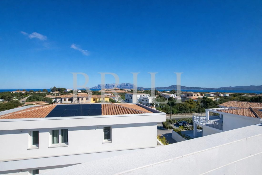 Villa in Olbia, Sardinia, Italy 1 - 16485551