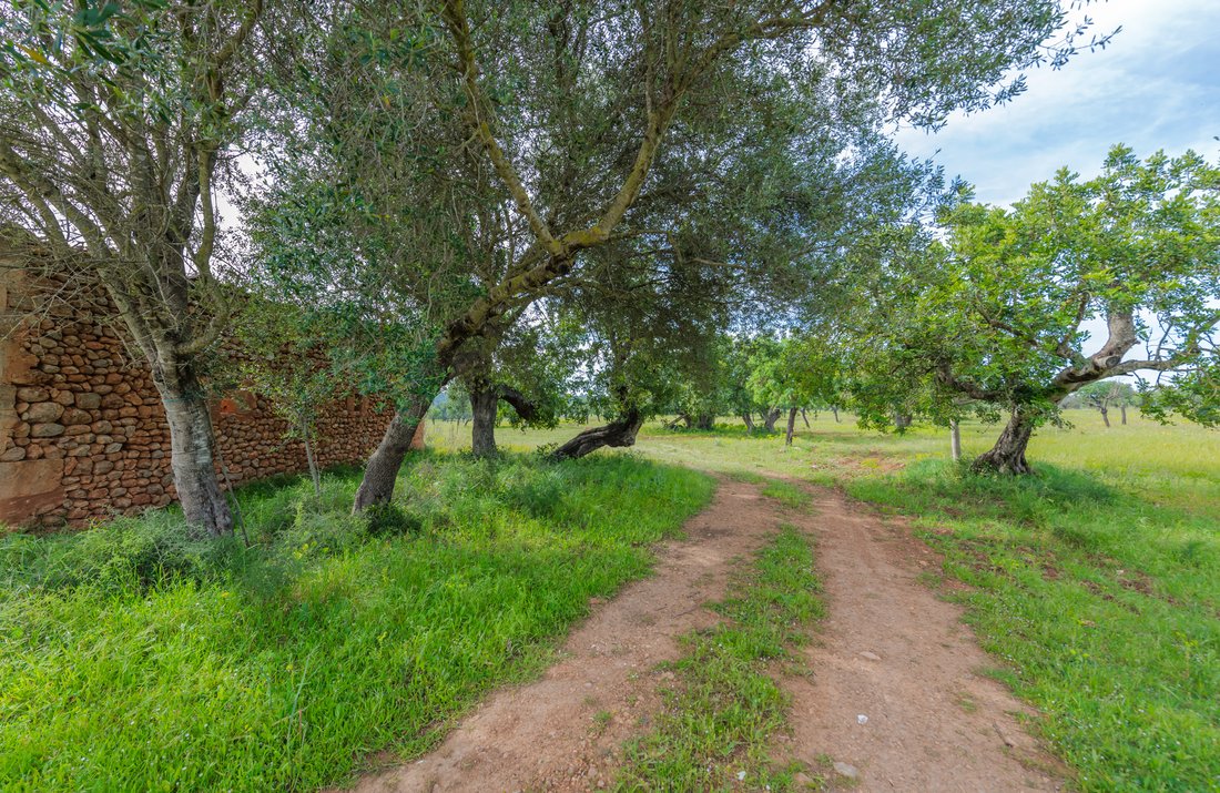 Land in Marratxi, Balearic Islands, Spain 3 - 17662647