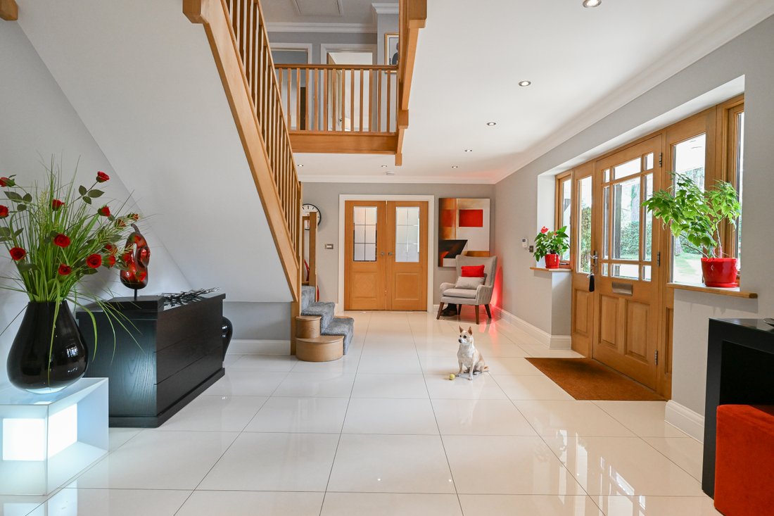 House in Ringwood, England 3 - 17662583